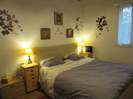 Saint-Denis-en-Val旅游攻略图片