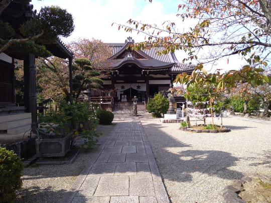 Tachibana-dera Temple-明日香村必去景点