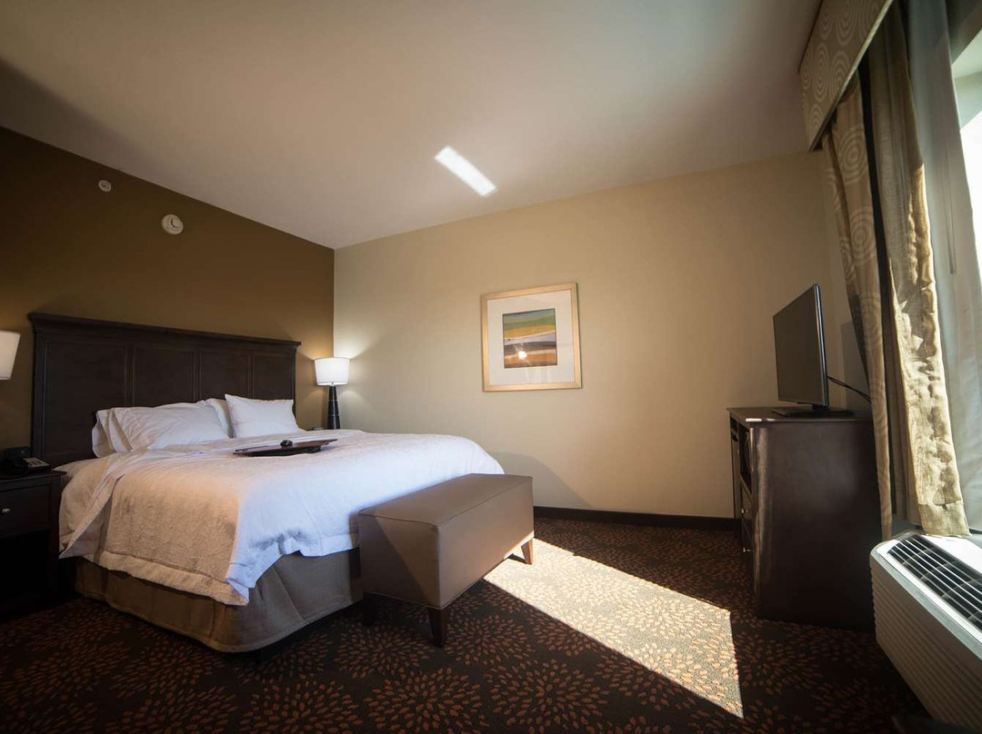 Hampton Inn & Suites Hartsville主图