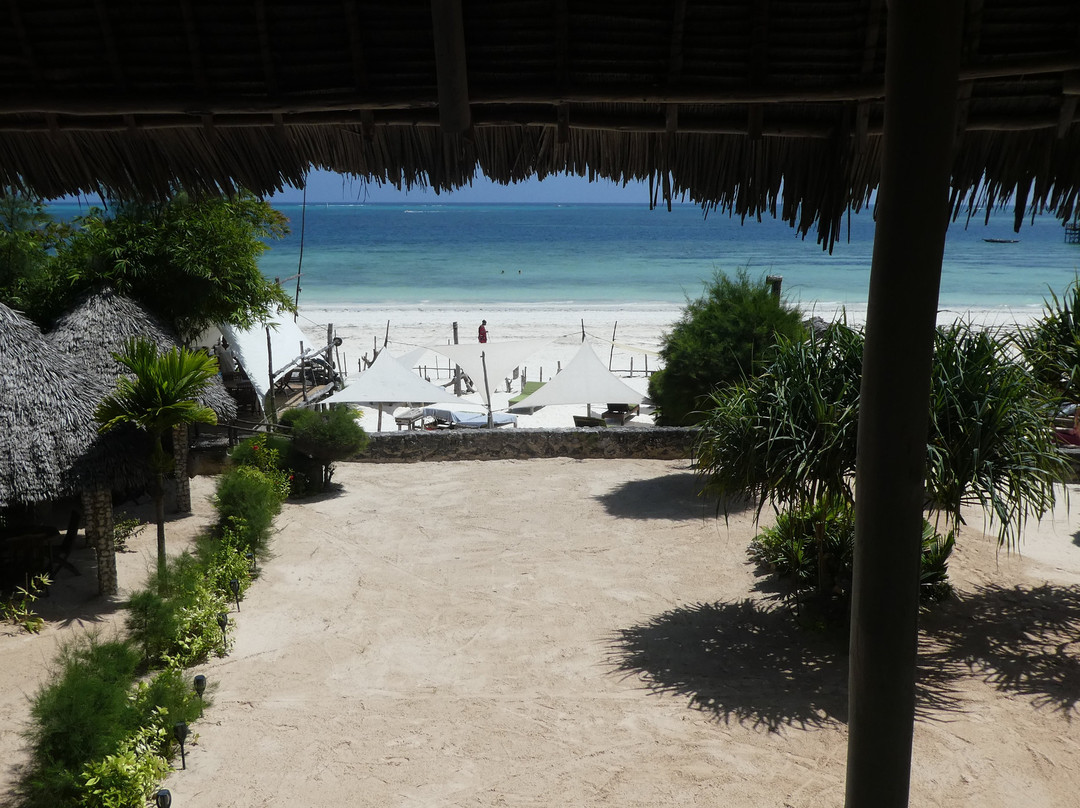 Mvuvi Boutique Resort主图