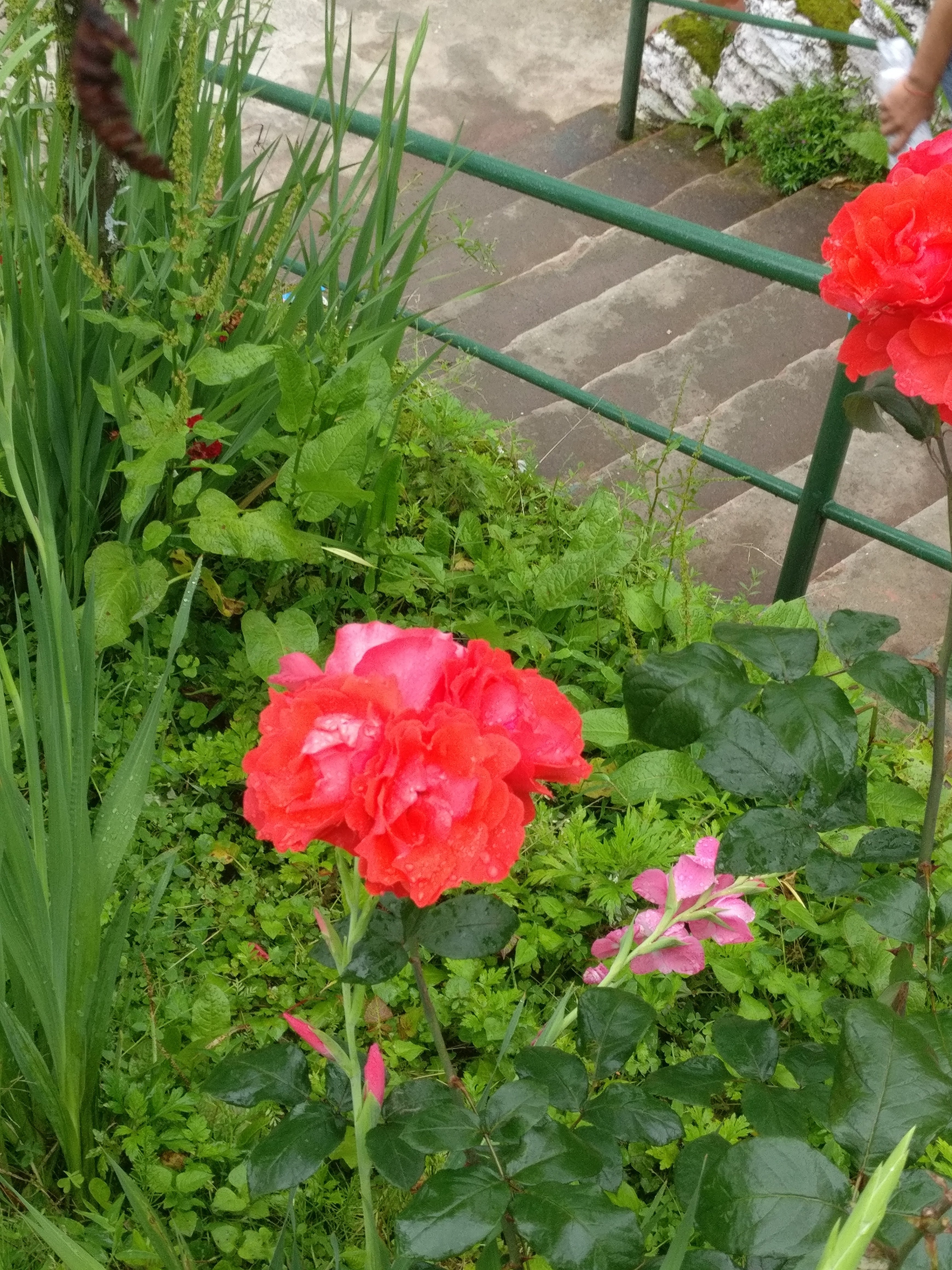 Roys Rabdentse Residency-浴室