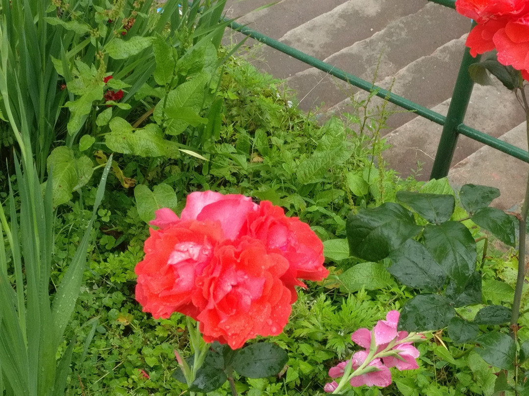 Roys Rabdentse Residency主图