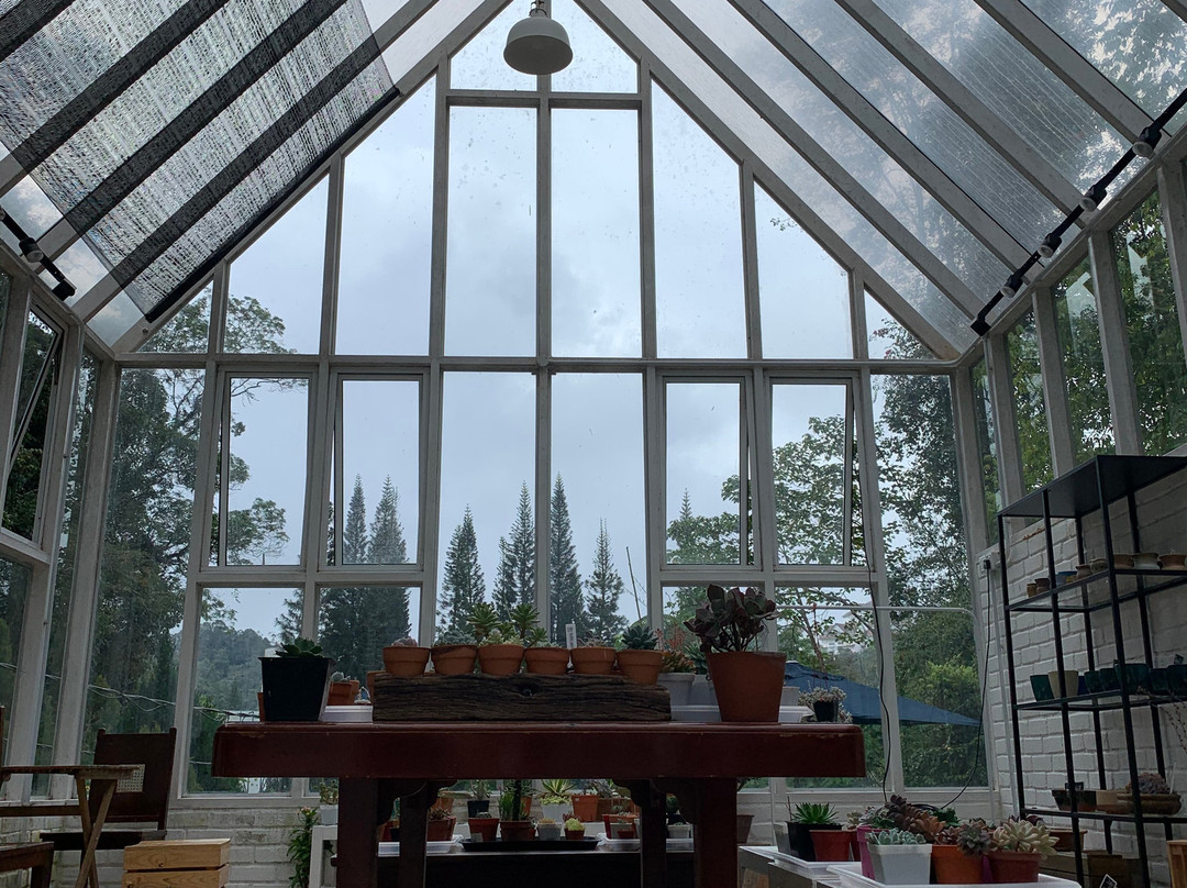 Glasshouse Fraser's Hill景点图片