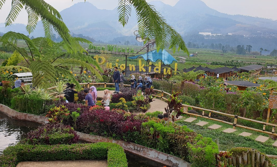 Pujon Kidul Tourism Village景点图片