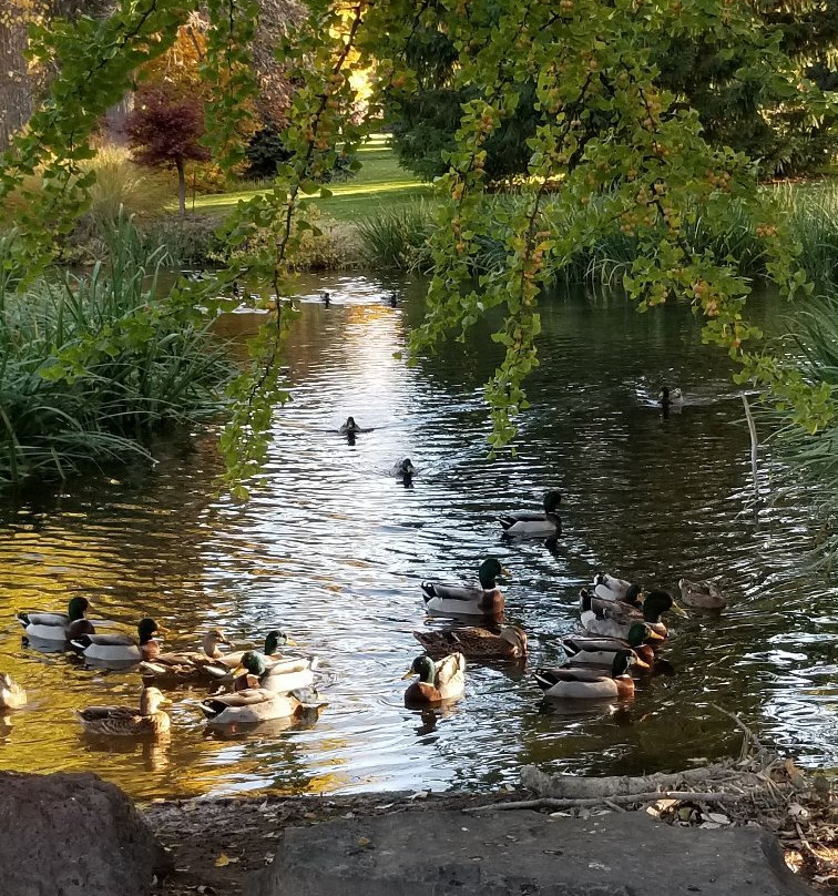Pioneer Park景点图片