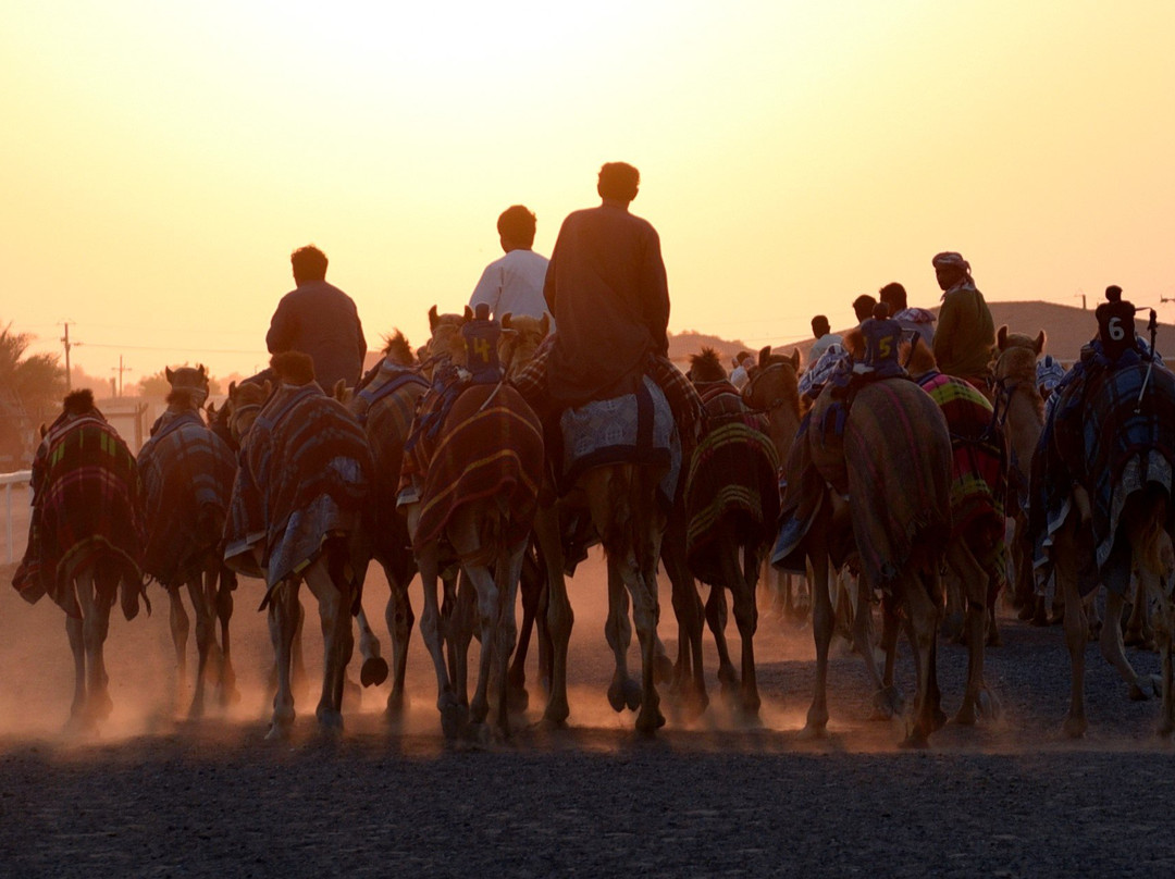 Tours for You-迪拜必去景点