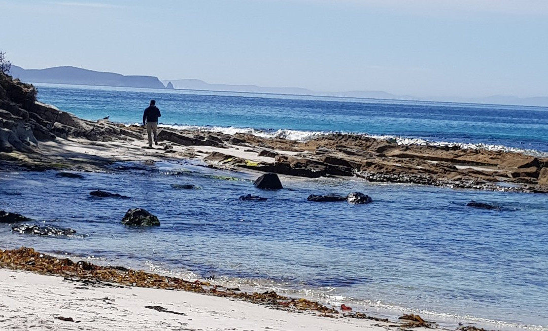 Pennicott Wilderness Journeys - Bruny Island Traveller Day Tour景点图片