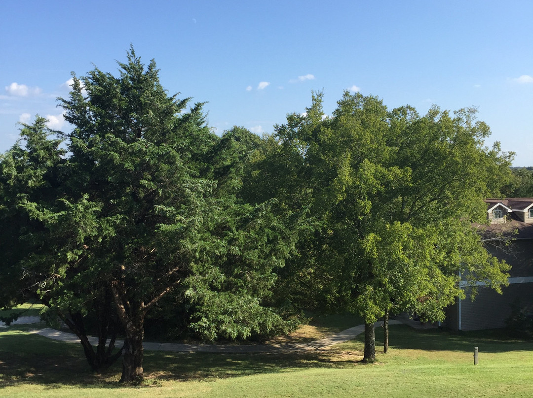 Shiloh Morning Inn主图