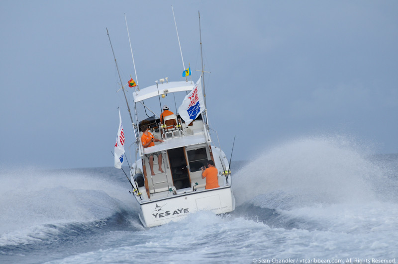 True Blue Sportfishing-St. George's必去景点