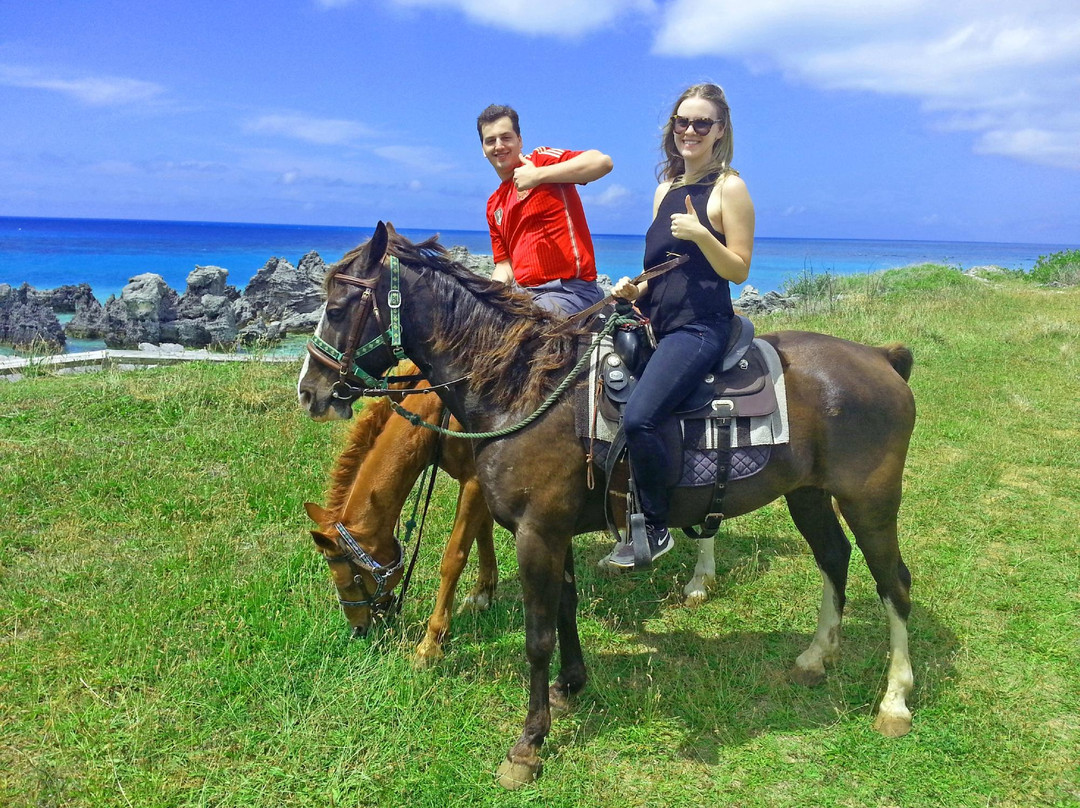 Moran Meadows-圣乔治必去景点