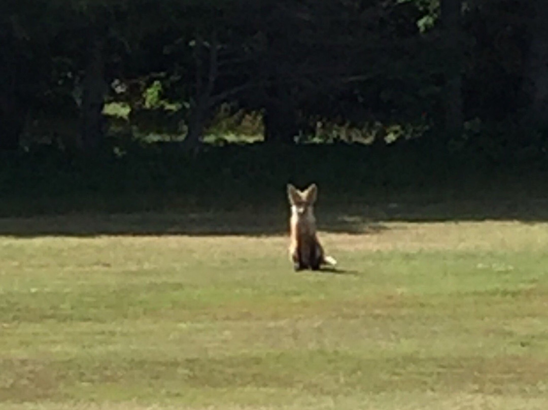 Rustico Resort Golf and Country Club-Rustico必去景点