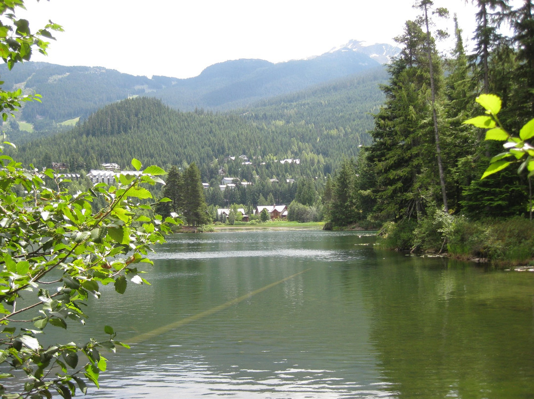 Alpha Lake Park景点图片