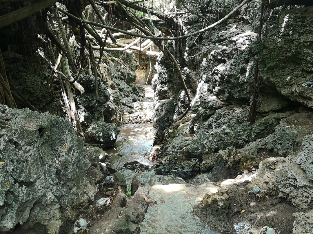 Anderson Dale Walk-圣诞岛必去景点