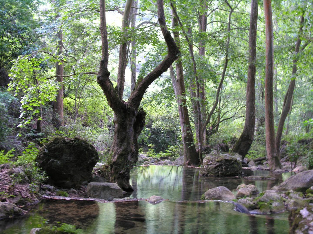 Reserva Sierra Gorda景点图片