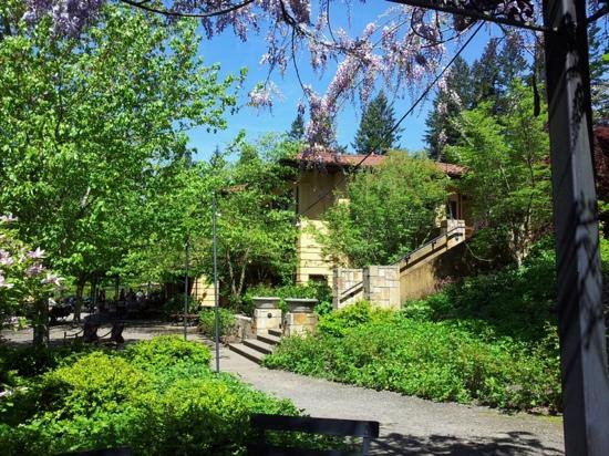 Garden Vineyards-希尔斯伯勒必去景点