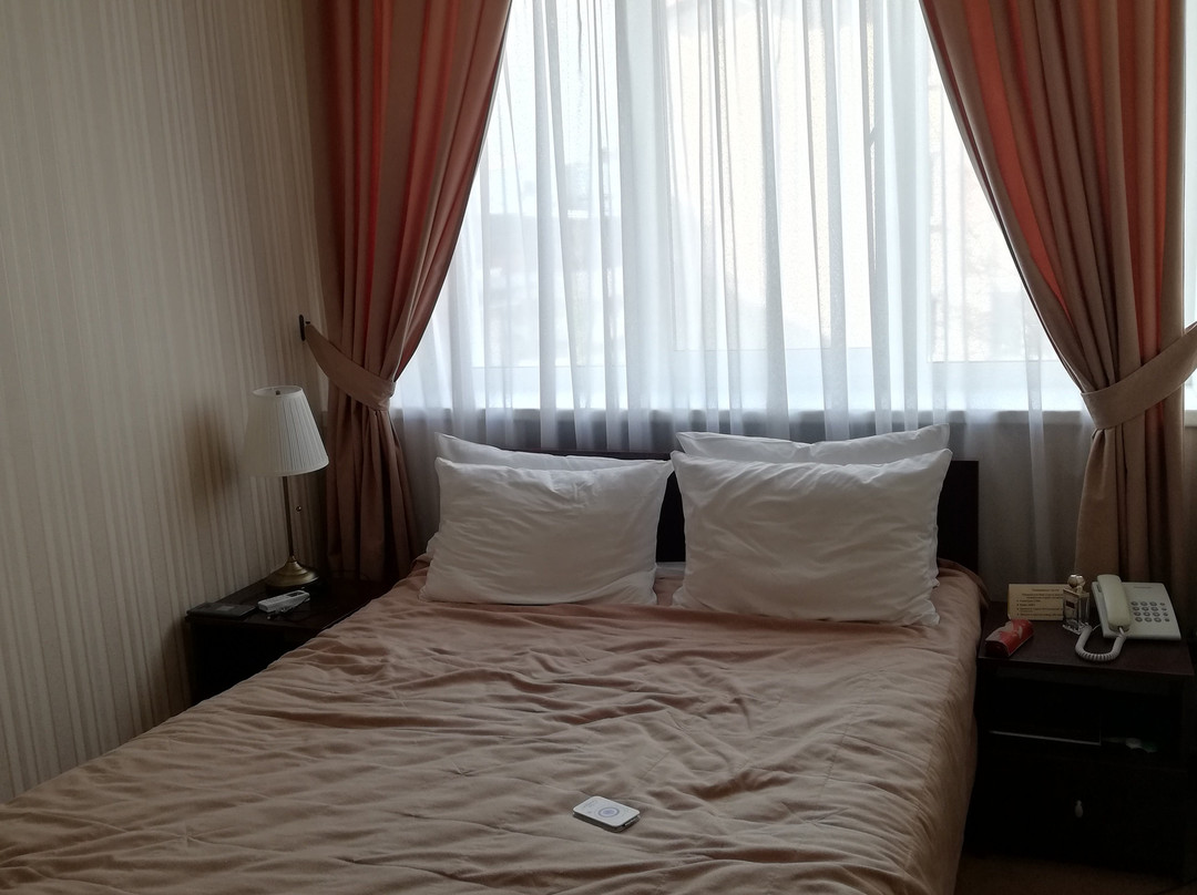 阿沃托萨瓦茨卡娅酒店主图