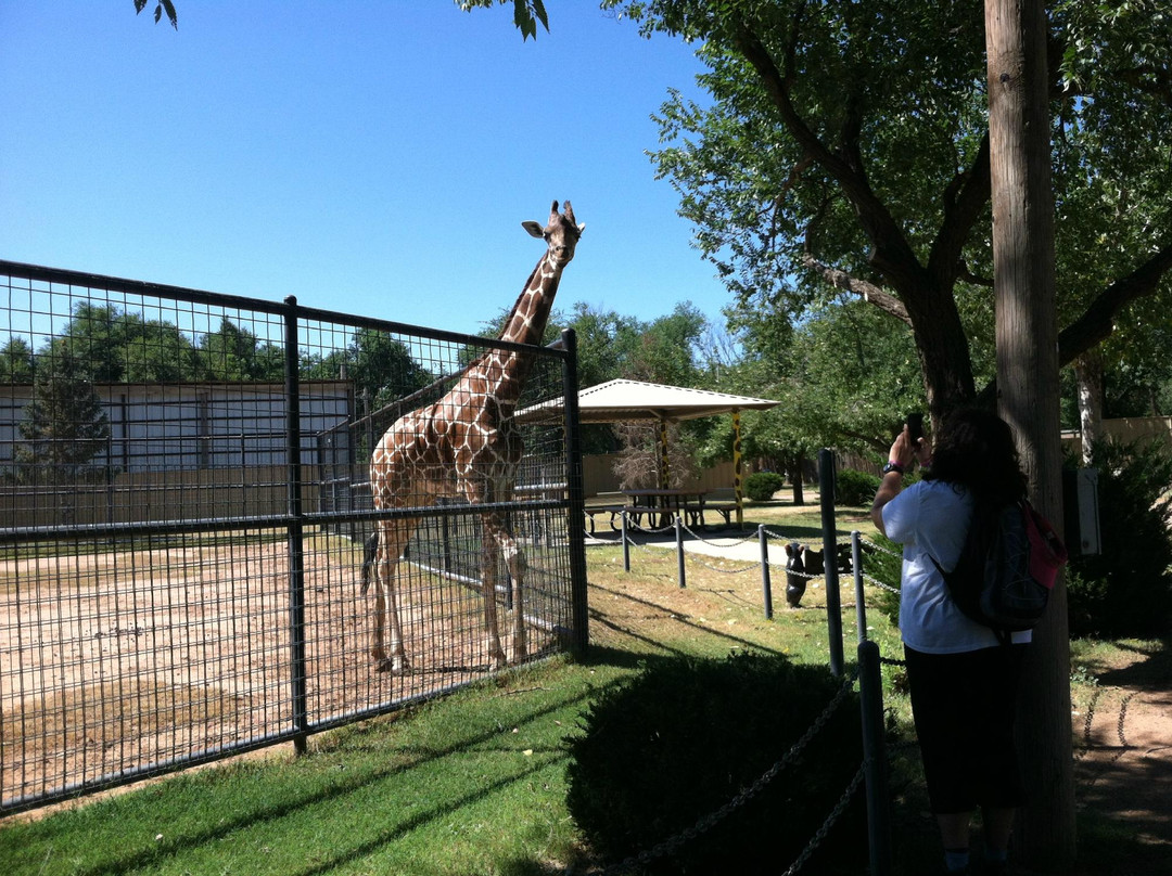 Hillcrest Park Zoo景点图片