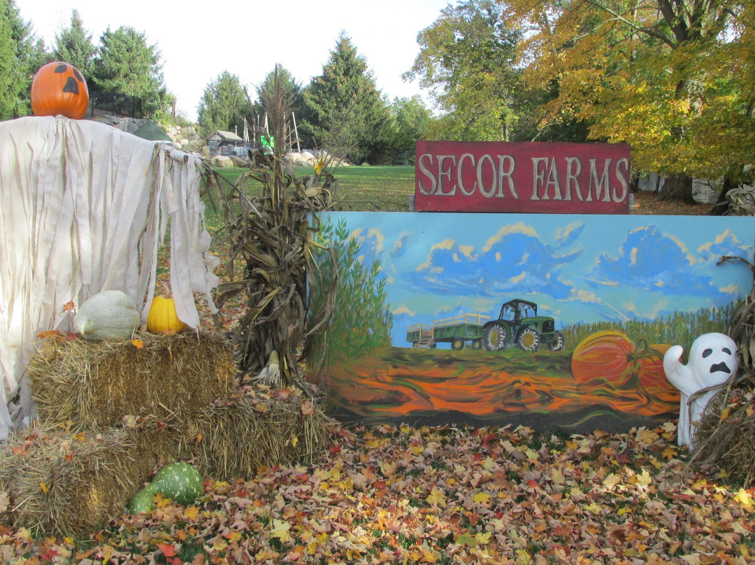 Secor Farms景点图片