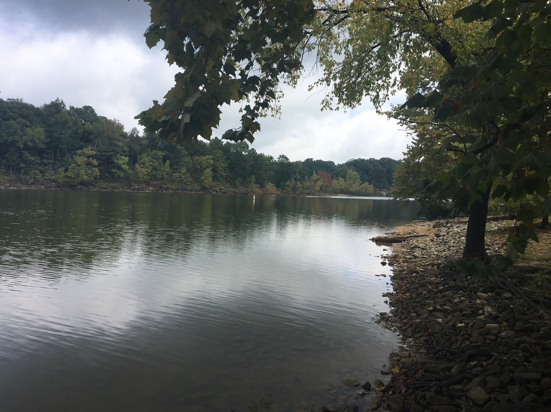 Dog Creek Recreation Area景点图片