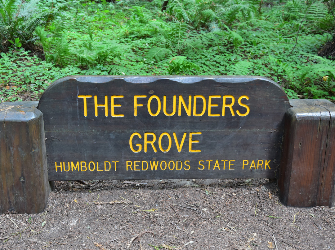Founder's Grove Nature Loop景点图片