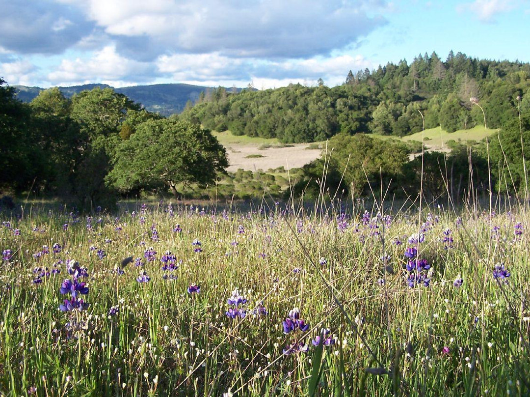 Annadel State Park景点图片