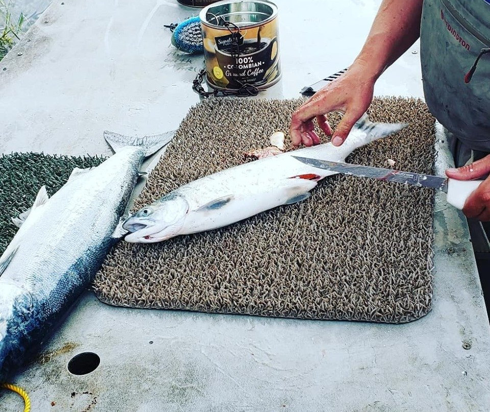 Kenai Kingpin Sportfishing-索尔多特纳必去景点