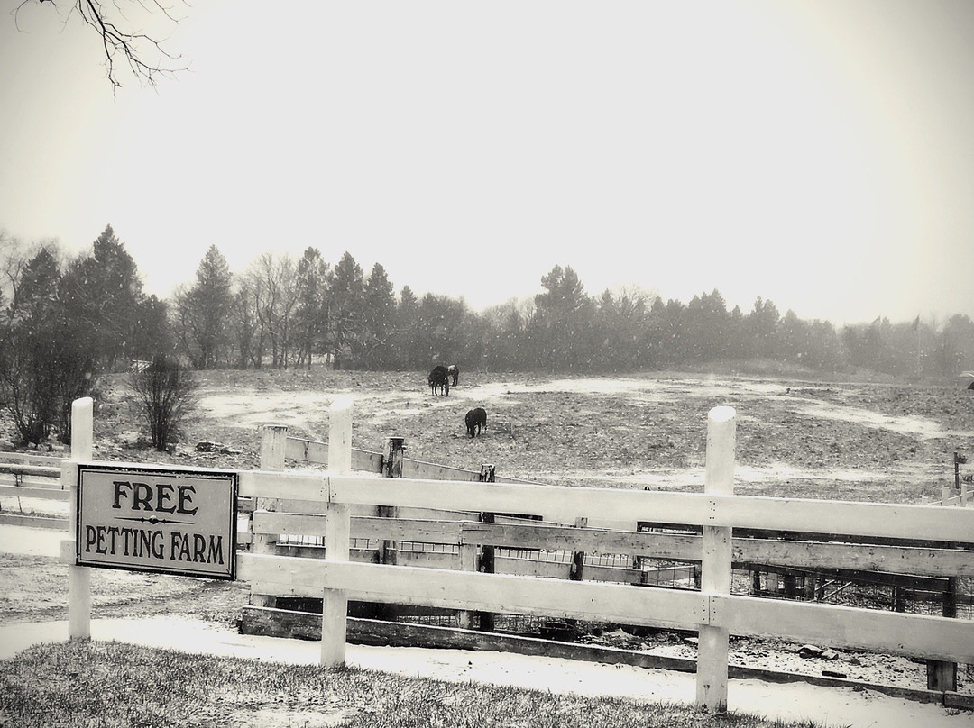 Dan Patch Stables-日内瓦湖必去景点