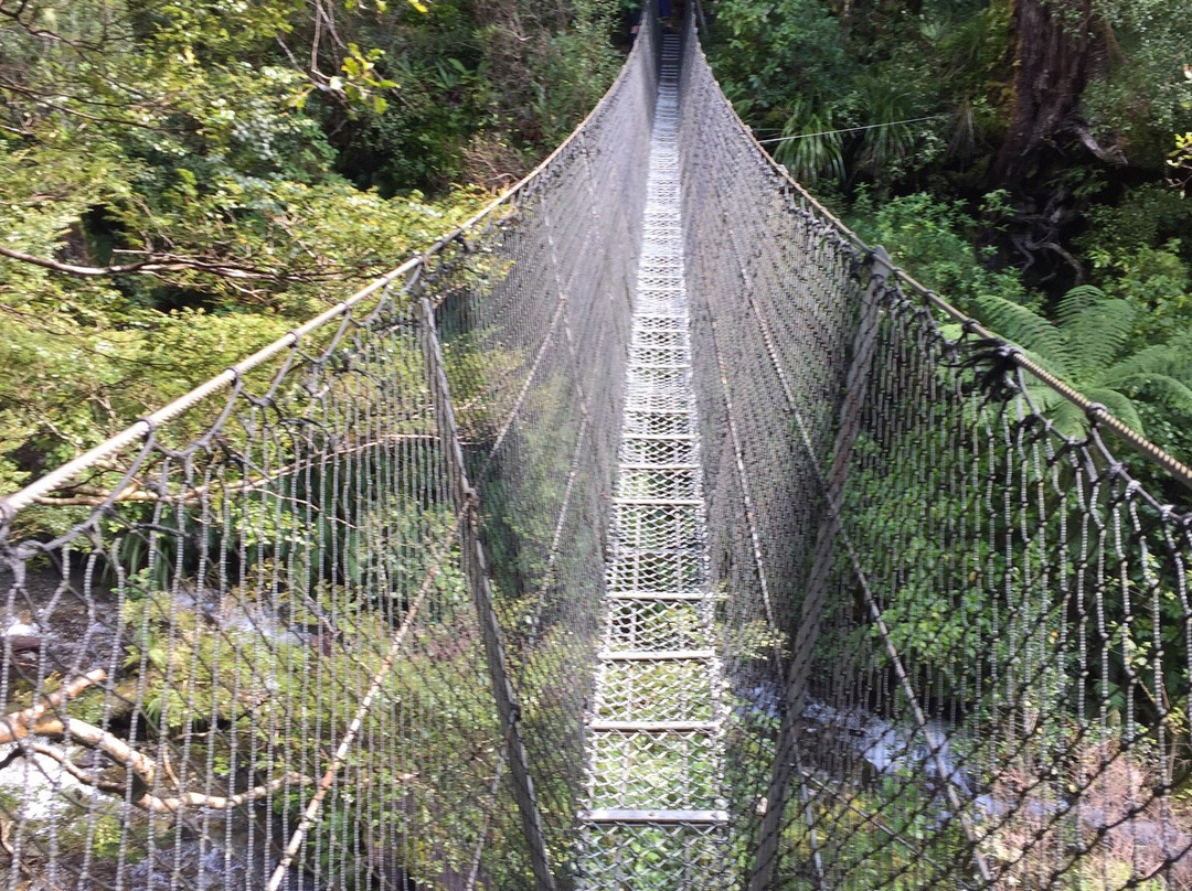 Powell Hut & Mount Holdsworth Track景点图片