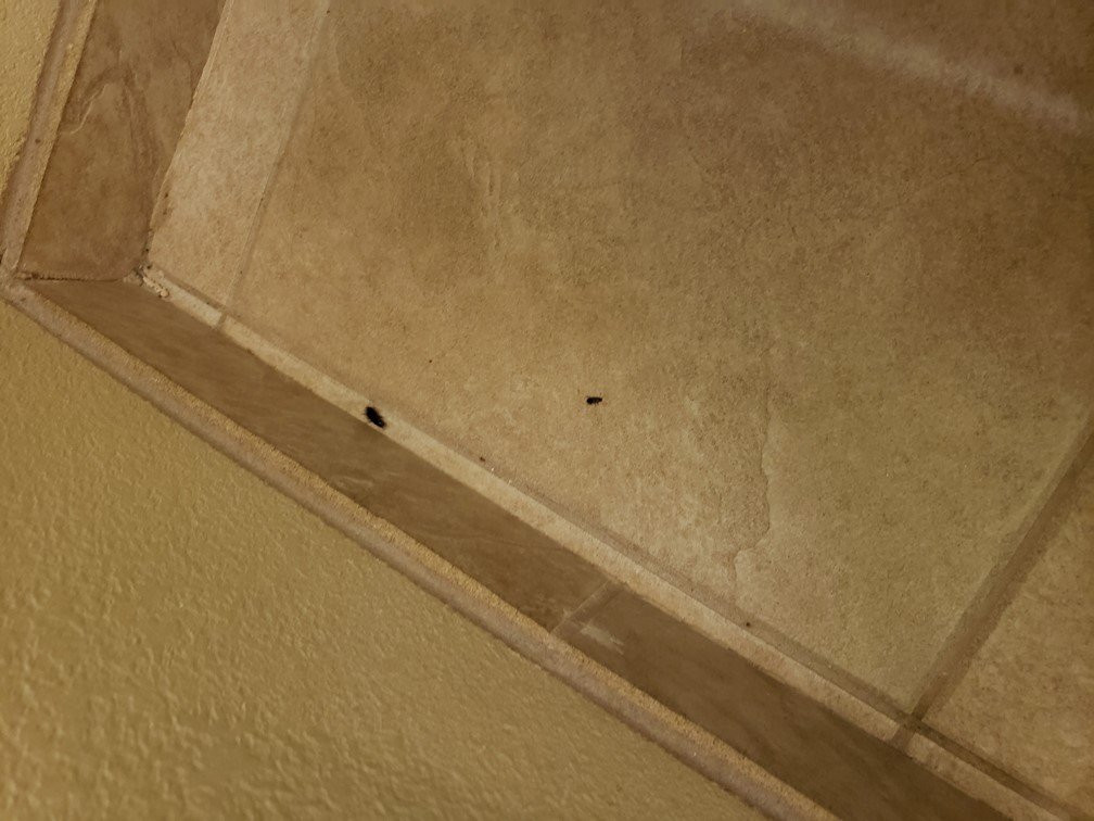 Baymont Inn & Suites by Wyndham Sturgis主图