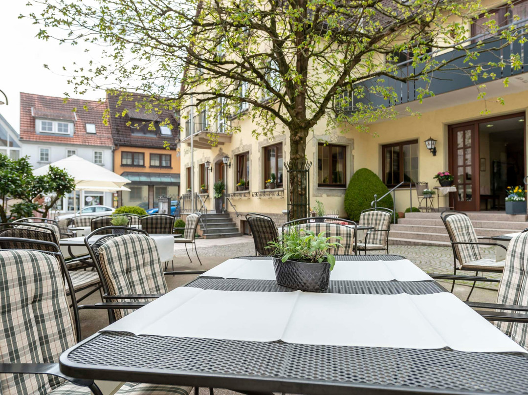 Hotel Gasthof Krone主图