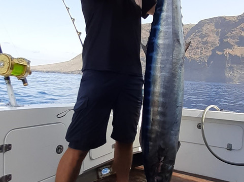 TAMBO Fishing-洛斯·吉甘特斯必去景点