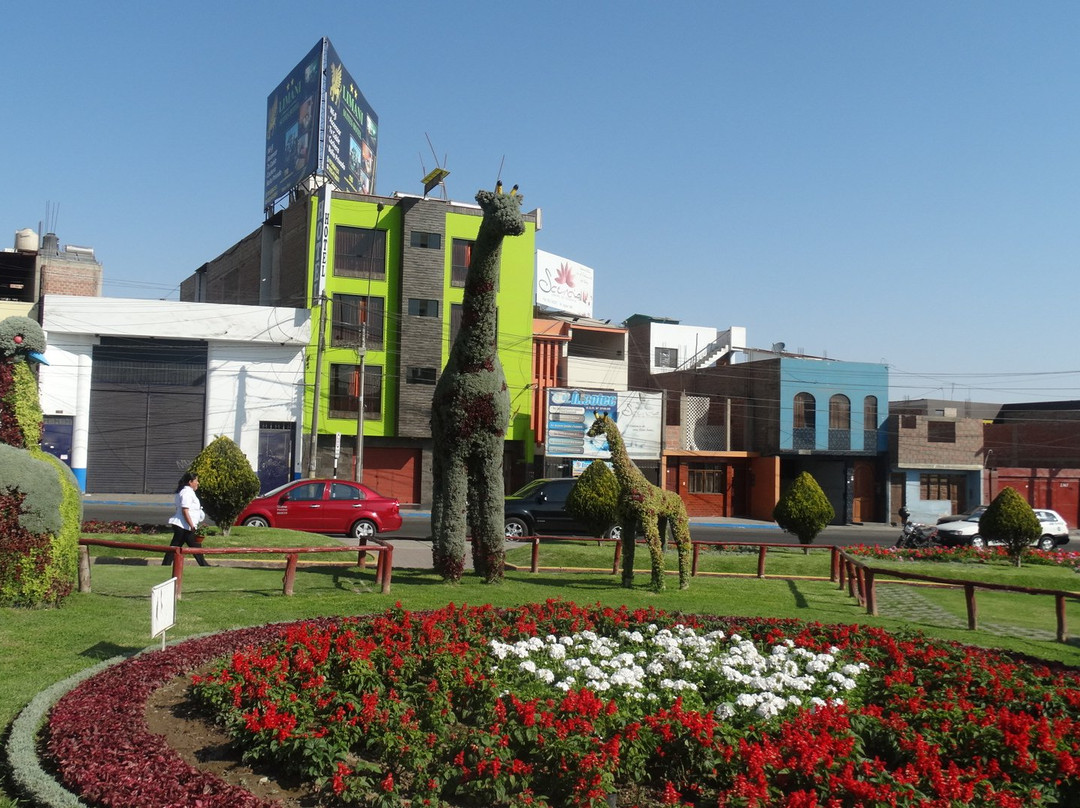 Bosque Municipal De Tacna