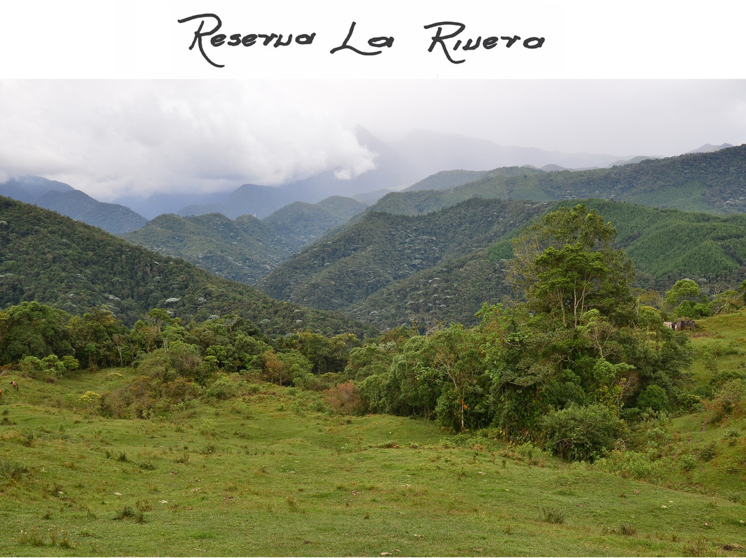 Reserva La Rivera景点图片