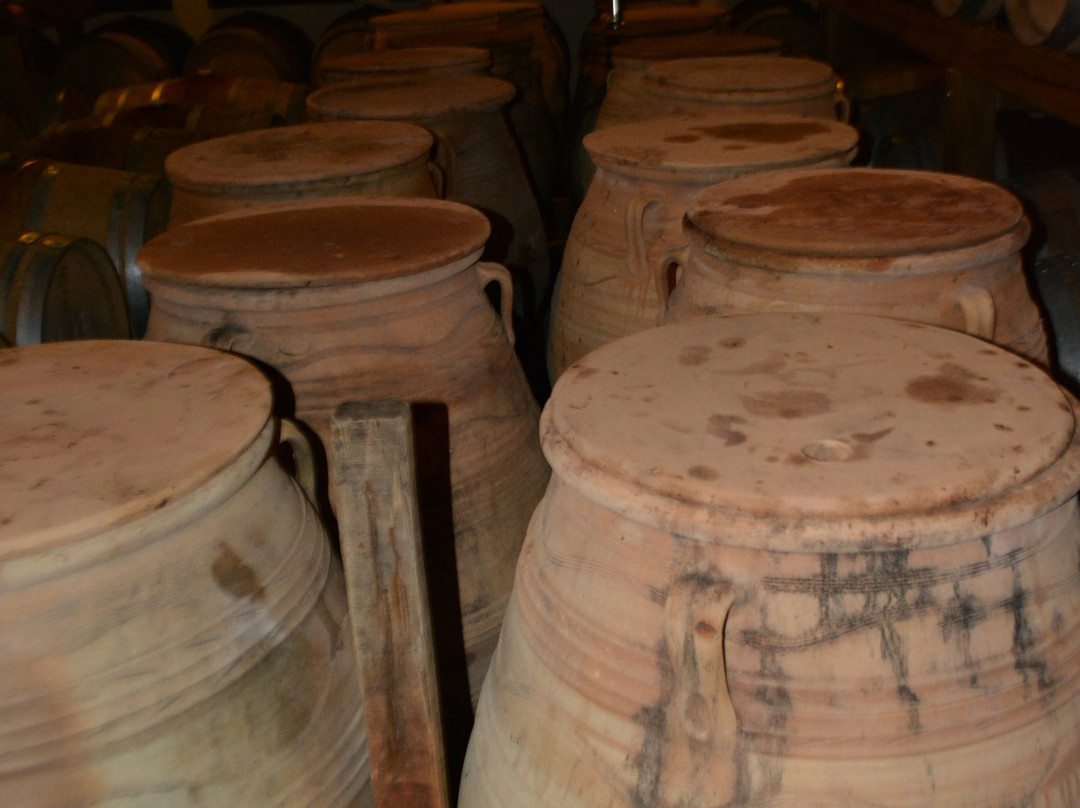 Tetramythos Wines-卡拉夫里塔必去景点