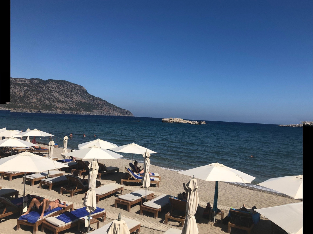 阿丽蒙德马蕾酒店主图