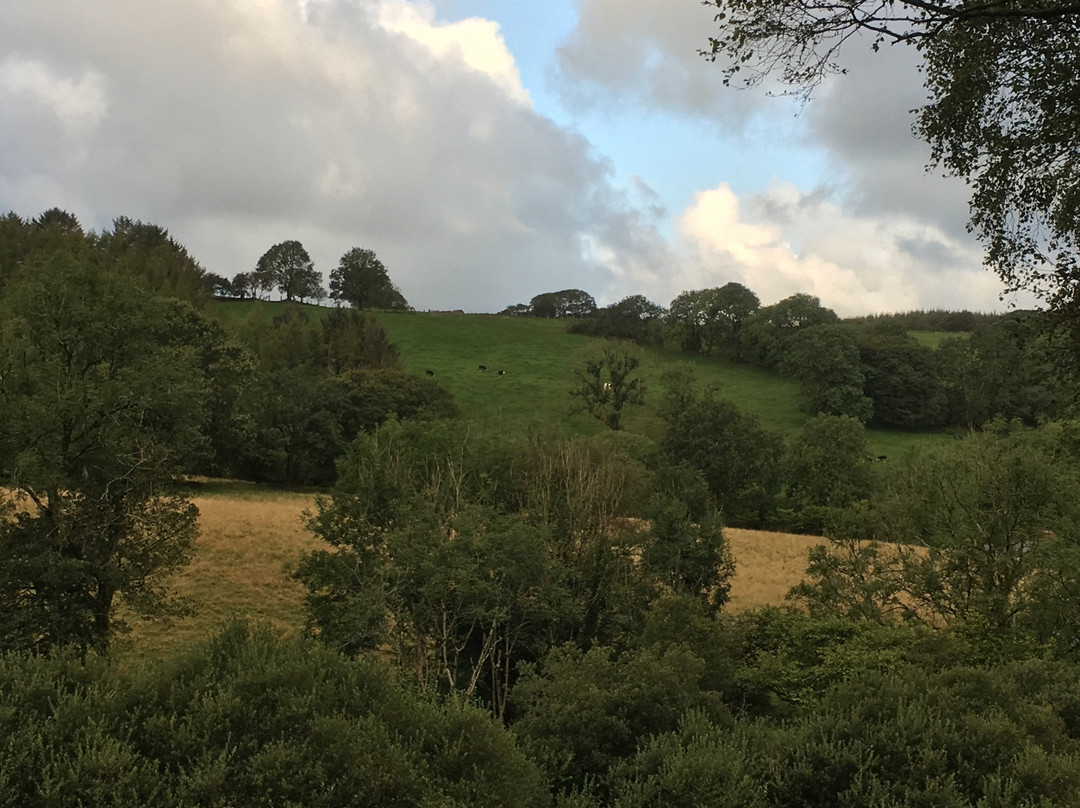 Brynarth Country Cottages主图