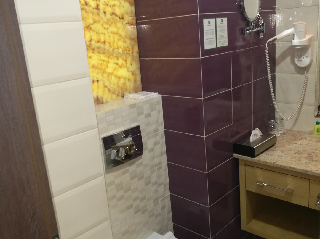 Holiday Inn Plovdiv by IHG主图