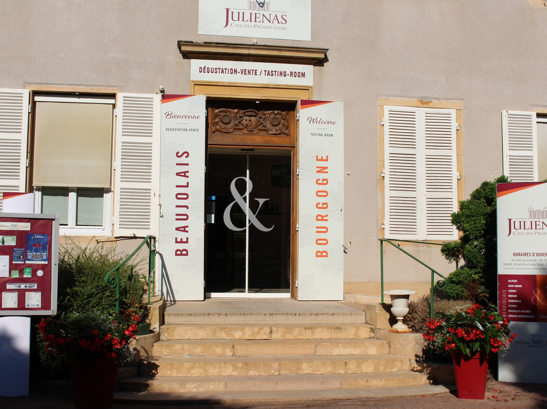 Cave de Julienas (Julienas Chaintre Vignerons Associes)-Julienas必去景点