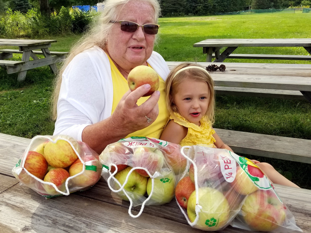 All Seasons Orchard-Woodstock必去景点