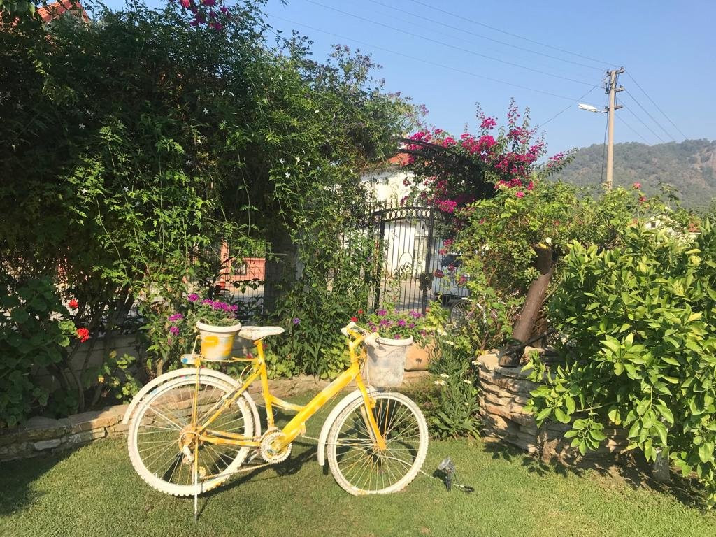 Göcek Arion Hotel主图