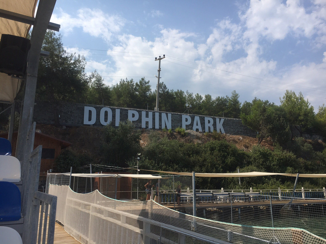Bodrum Dolphin Park - Yunus Gösteri Merkezi景点图片