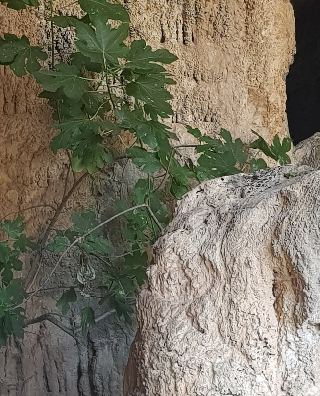 Cretan Mountain Jeep Safari-阿吉亚玛丽娜必去景点