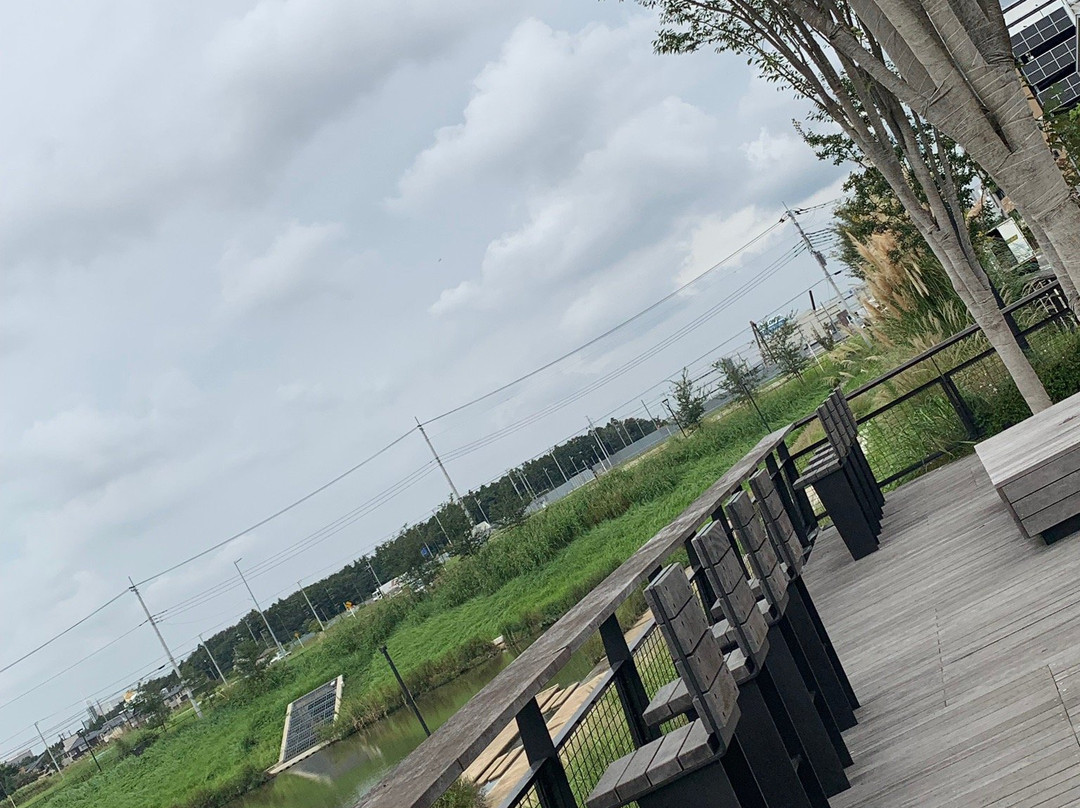 Kashiwanoha T-SITE-柏市必去景点