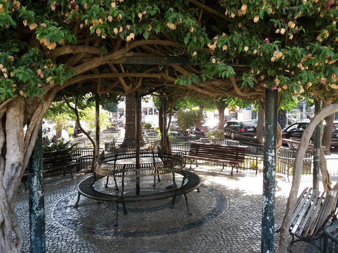 Jardim Publico de Sesimbra景点图片