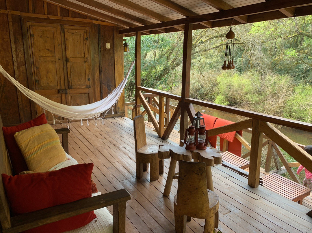 Margay - Reserva Natural & Lodge de Selva主图