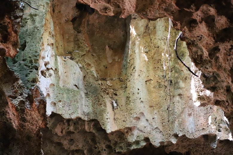 Slave Caves-Shimoni必去景点