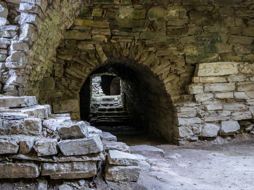 Castle Ruins at Skala Podilska景点图片