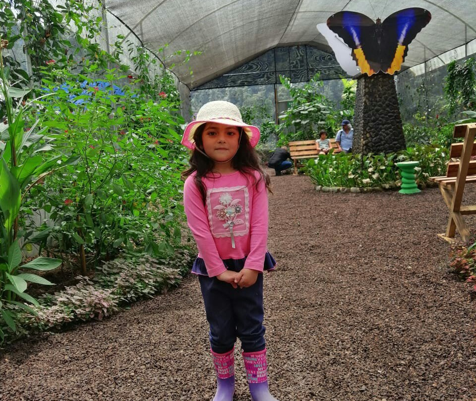 El Jardin de las Mariposas景点图片