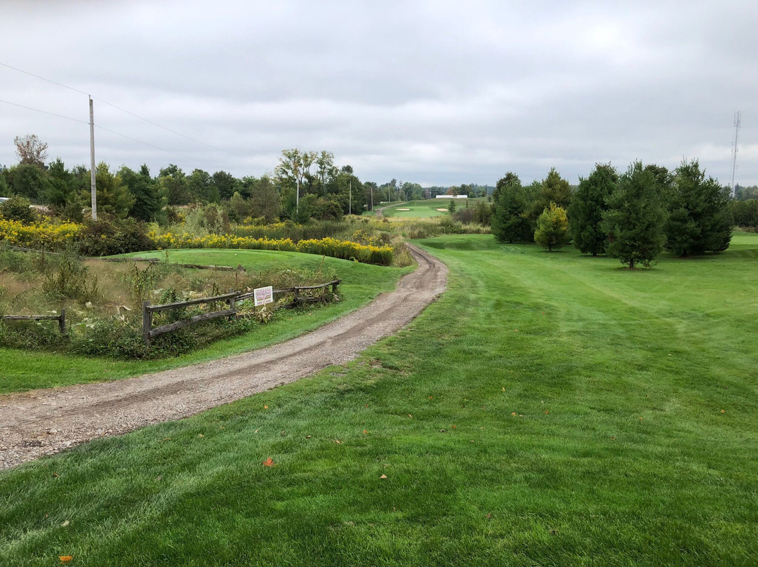 Turtle Creek Golf Club景点图片