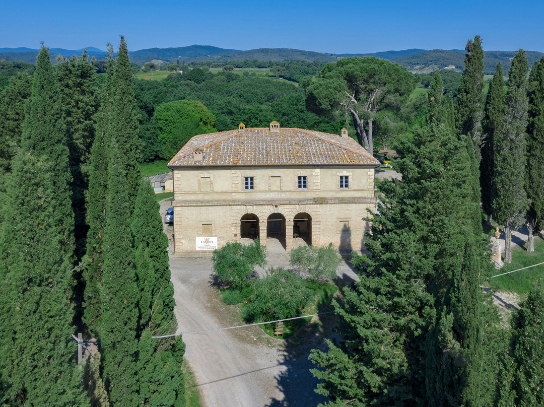 Castelnuovo Tancredi Estate景点图片